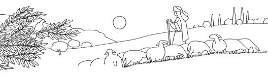 disegno di un pastore che riporta le pecore all'ovile