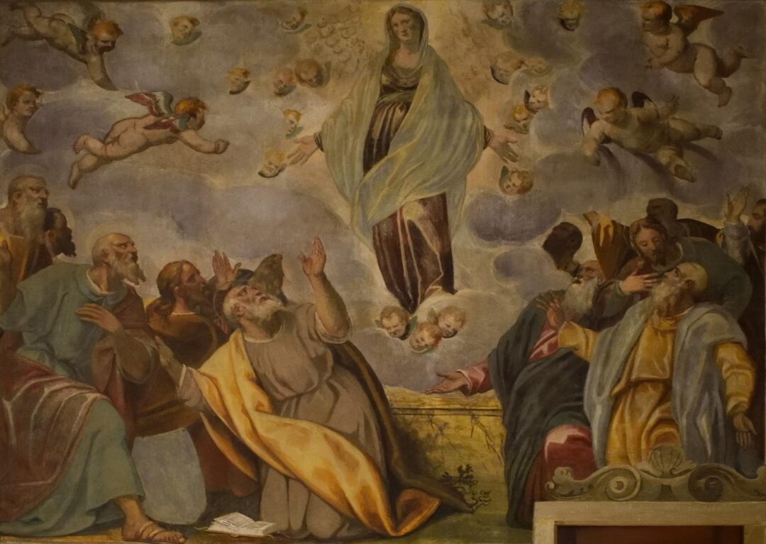 Dipinto di Dario Varotari raffigurante l'Assunzione in cielo della Madonna